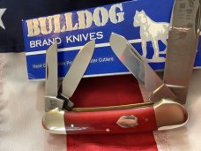 Bulldog Knife 4 Blade Canoe w/ Great Red Bone Handles & Frost Blade Etch -NOS Bulldog Knife 4 Blade Canoe w/ Great Red Bone Handles & Frost Blade Etch -NOS