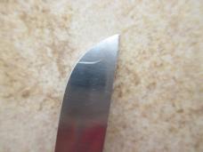 Victorinox Florest Knife 