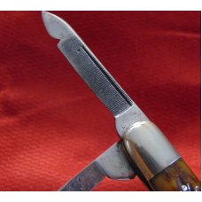 VINTAGE CANTON CUTLERY CO CANTON O. 4 BLADE SWELLCENTER KNIFE BONE HANDLES 1879 -1930 VINTAGE CANTON CUTLERY CO CANTON O. 4 BLADE SWELLCENTER KNIFE BONE HANDLES 1879 -1930