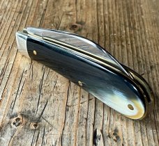 A Wright & Son "Peach" Swayback Knife with Buffalo Scales and Curved Wharncliffe Blade