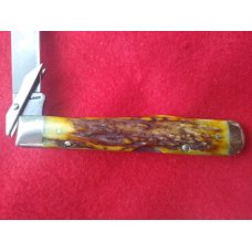 Case Cheetah 5111 1/2L Stag Pocket Knife Case Cheetah 5111 1/2L Stag Pocket Knife