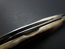 Great Eastern Cutlery Northfield UN-X-LD #62 Pocket Congress Sambar Stag GEC 620220 Great Eastern Cutlery Northfield UN-X-LD #62 Pocket Congress Sambar Stag GEC 620220