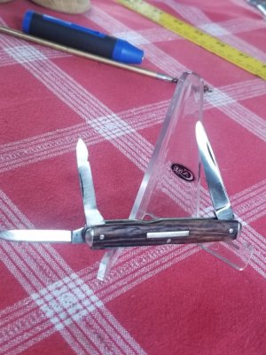 Camillus Stag senator 3 blade Whittler