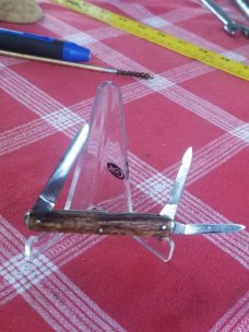Camillus Stag senator 3 blade Whittler