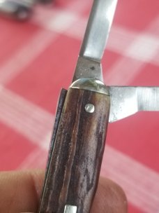 Camillus Stag senator 3 blade Whittler