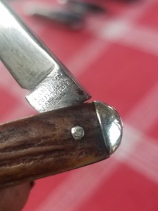 Camillus Stag senator 3 blade Whittler