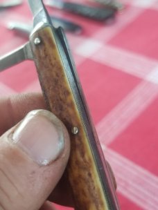 Camillus Stag senator 3 blade Whittler