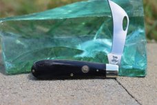 HEN & ROOSTER BLACK BUFFALO HORN HAWKBILL HEN & ROOSTER BLACK BUFFALO HORN HAWKBILL