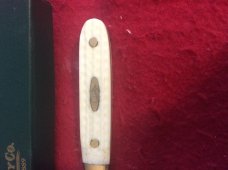 2004 CASE XX USA NATURAL BONE HAN$LE LETTER OPENER IN THE BOX 2004 CASE XX USA NATURAL BONE HAN$LE LETTER OPENER IN THE BOX