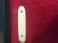 2004 CASE XX USA NATURAL BONE HAN$LE LETTER OPENER IN THE BOX 2004 CASE XX USA NATURAL BONE HAN$LE LETTER OPENER IN THE BOX