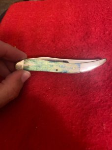 2001 Case XX USA 610094 SS Peacock Appaloosa Bone Handle Medium Toothpick New 2001 Case XX USA 610094 SS Peacock Appaloosa Bone Handle Medium Toothpick New