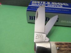 Bulldog Brand 2004 Stag Congress 