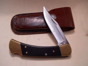  Buck 110 Knife / Sheath   