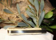 Great Eastern Cutlery #23 SFO India Jigged Bone Great Eastern Cutlery #23 SFO India Jigged Bone