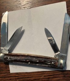 GERMAN EYE 4 BLADE CONGRESS STAG