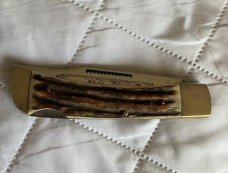 GERMAN EYE LARGE ETCHED STAG LOCKBACK