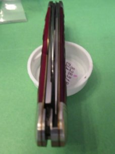 Great Eastern 2018 Northfield  Dixie Stockman Elderberry Bone Pattern # 828318