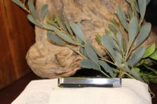 Great Eastern Cutlery #15 Urban Jack Spring Green Jigged Bone Great Eastern Cutlery #15 Urban Jack Spring Green Jigged Bone