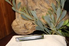 Great Eastern Cutlery #15 Urban Jack Spring Green Jigged Bone Great Eastern Cutlery #15 Urban Jack Spring Green Jigged Bone