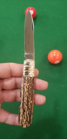 3 5/8" Venture single blade jack knife, Premium Stag, Sheffield England 3 5/8" Venture single blade jack knife, Premium Stag, Sheffield England