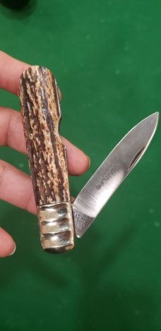 3 5/8" Venture single blade jack knife, Premium Stag, Sheffield England 3 5/8" Venture single blade jack knife, Premium Stag, Sheffield England