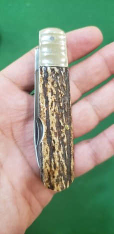 3 5/8" Venture single blade jack knife, Premium Stag, Sheffield England 3 5/8" Venture single blade jack knife, Premium Stag, Sheffield England