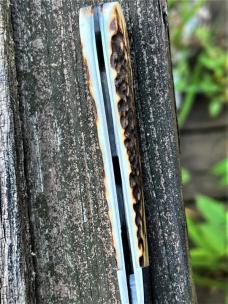 J. LLOYD SAMBAR STAG CUSTOM LARGE DOGLEG TRAPPER **EXTREMELY NICE**