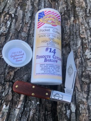GEC TIDIOUTE 141122 GOLDEN ROD SAWCUT BONE BARLOW