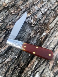GEC TIDIOUTE 141122 GOLDEN ROD SAWCUT BONE BARLOW GEC TIDIOUTE 141122 GOLDEN ROD SAWCUT BONE BARLOW