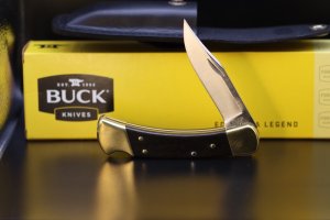Buck 110 Folding Hunter
