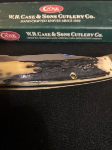 2000 Case XX USA M5151 SS Midnight Stag Handle Jaguar With Long Pull Stainless Steel Blade NIB