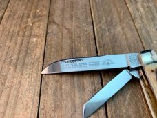 German Eye by Carl Schlieper 4 Blade Congress Stag 