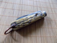 Thomas Turner & Co Sheffield Knife-Stag Handles