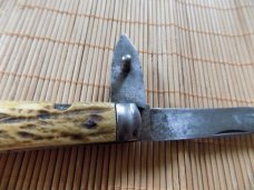 Thomas Turner & Co Sheffield Knife-Stag Handles