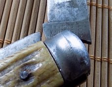 Thomas Turner & Co Sheffield Knife-Stag Handles
