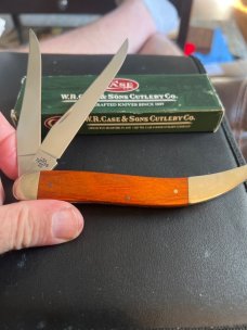2008 Case XX USA 720098 SS Beautiful Large Chestnut Wood Handle With Navy Sheild And Two Blades NIB