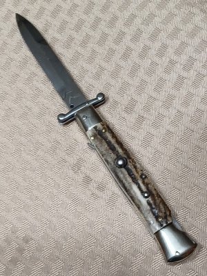 9" Real AKC Stag Swinguard. 