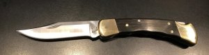 NEW - Buck U.S.A. 110 "Finger-Groove" Folding Hunter Knife + Sheath