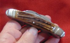 MIB BULLDOG BRAND 1ST GEN. LARGE CONGRESS KNIFE PIT BULLS GENUINE STAG ENGLISH STEEL 1985 MIB BULLDOG BRAND 1ST GEN. LARGE CONGRESS KNIFE PIT BULLS GENUINE STAG ENGLISH STEEL 1985