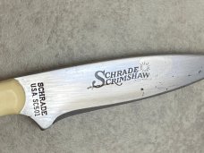 Schrade USA Scrimshaw SC501 Buck Fixed Blade Sheath Knife in Display Box Schrade USA Scrimshaw SC501 Buck Fixed Blade Sheath Knife in Display Box