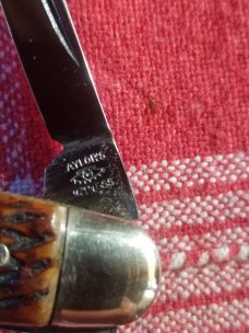  Taylor Eye Witness Pocket Knive 