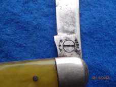 Remington Pen knife yellow celluloid Remington Pen knife yellow celluloid