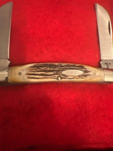 1982 Case XX ••••SS•••• USA 5288 SSP Fat And Gnarly Stag Two Blade Full Size Congress 1982 Case XX ••••SS•••• USA 5288 SSP Fat And Gnarly Stag Two Blade Full Size Congress