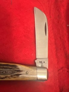 1982 Case XX ••••SS•••• USA 5288 SSP Fat And Gnarly Stag Two Blade Full Size Congress 1982 Case XX ••••SS•••• USA 5288 SSP Fat And Gnarly Stag Two Blade Full Size Congress