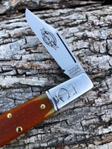 GEC TIDIOUTE 141122 GOLDEN ROD SAWCUT BONE BARLOW