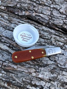 GEC TIDIOUTE 141122 GOLDEN ROD SAWCUT BONE BARLOW