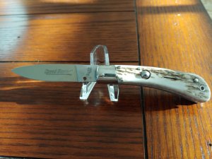 AKC STAG SPEED HUNTER 