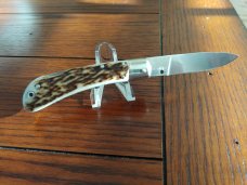 AKC STAG SPEED HUNTER AKC STAG SPEED HUNTER