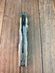 Bulldog Congress Bone Stag Twin Bulldog Tang Stamp 