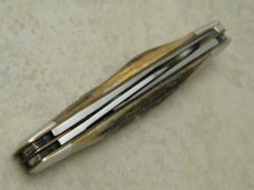A.G. Russel 1997 Springdale, Ark. Acorn Shield Genuine Stag Stockman Knife